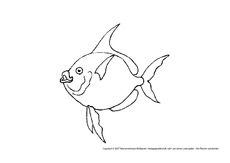 Fisch-2.pdf